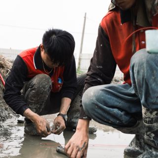 上釘子，並拉設水平指示線